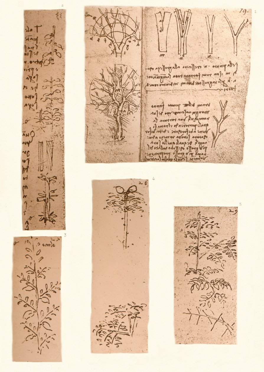 Öt rajz a tájfestészet elemeit illusztrálva, c1472-c1519 1883 alkotó: Leonardo da Vinci