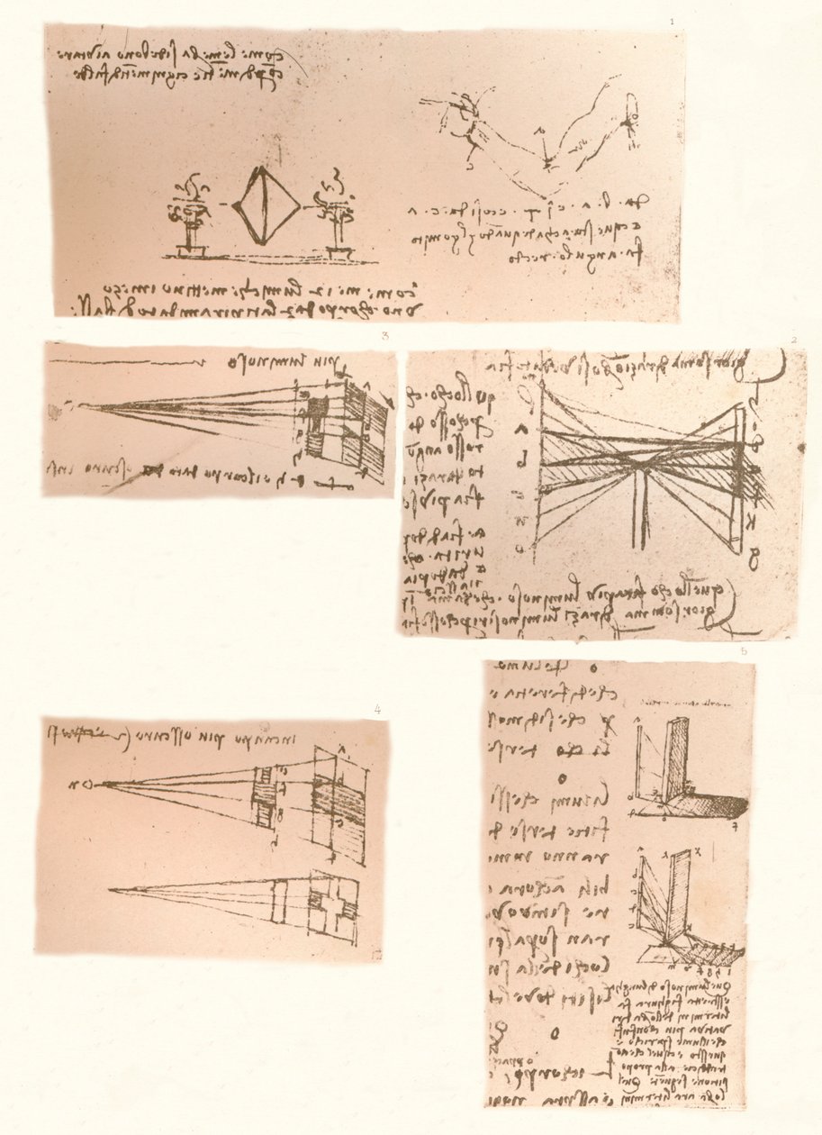 Öt rajz a festészet elméletét illusztrálva, c1472-c1519 1883 alkotó: Leonardo da Vinci