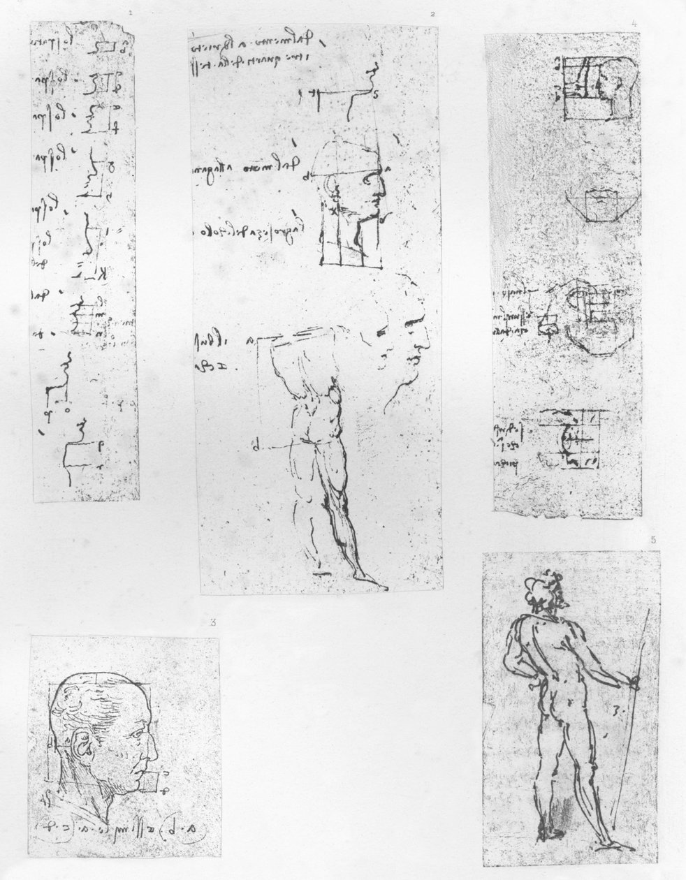 Öt rajz, amely az emberi alak arányainak elméletét illusztrálja, c1472-c1519 1883 alkotó: Leonardo da Vinci