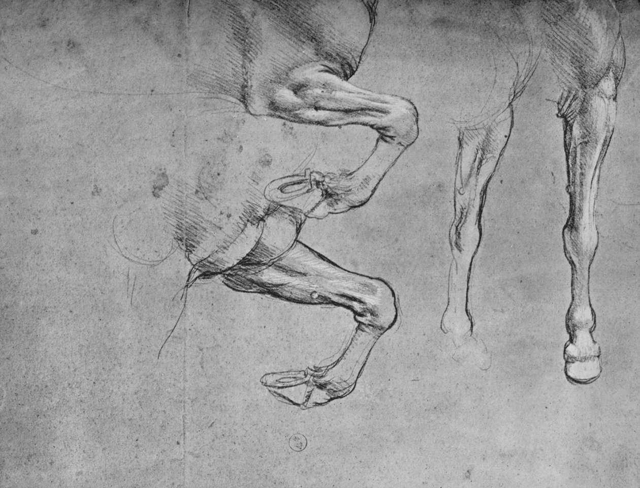 Négy tanulmány a lovak lábáról, c1480, 1945 alkotó: Leonardo da Vinci