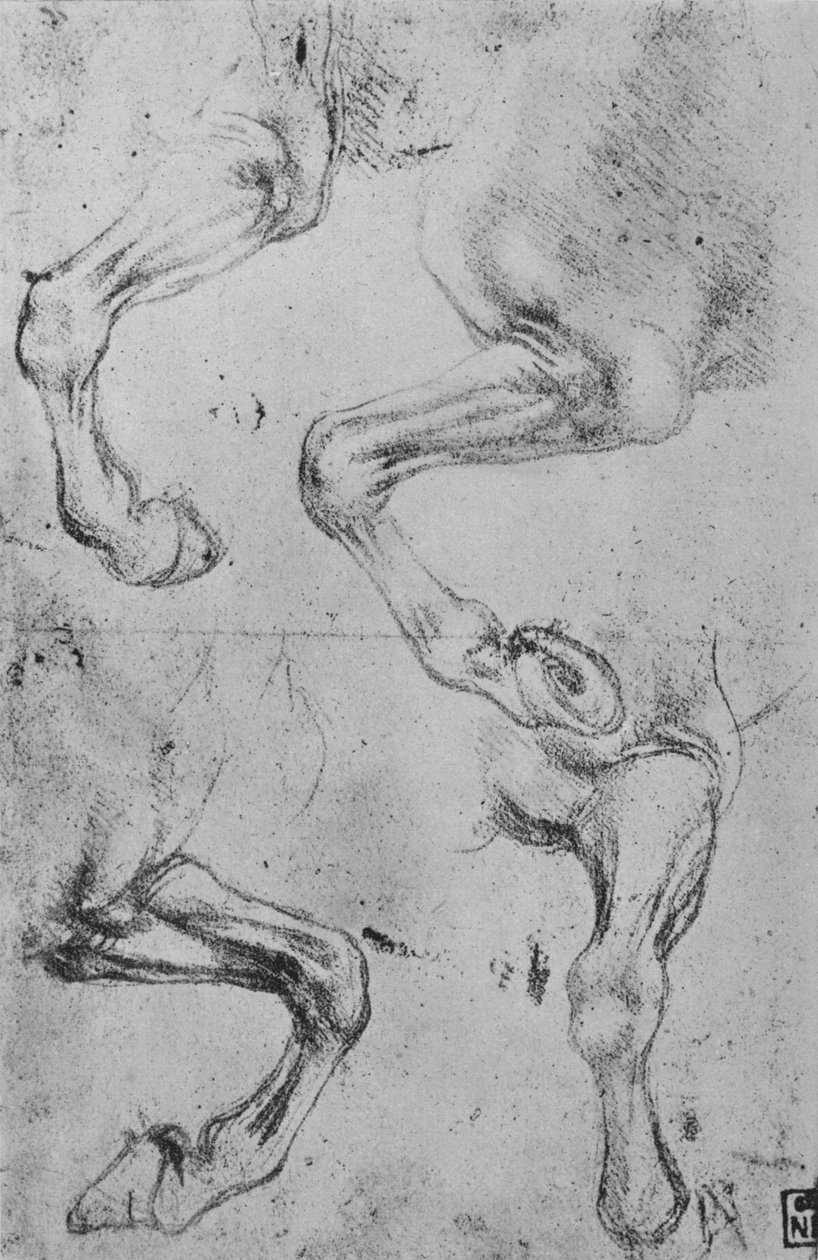 Négy tanulmány a lovak lábáról, c1480, 1945 alkotó: Leonardo da Vinci