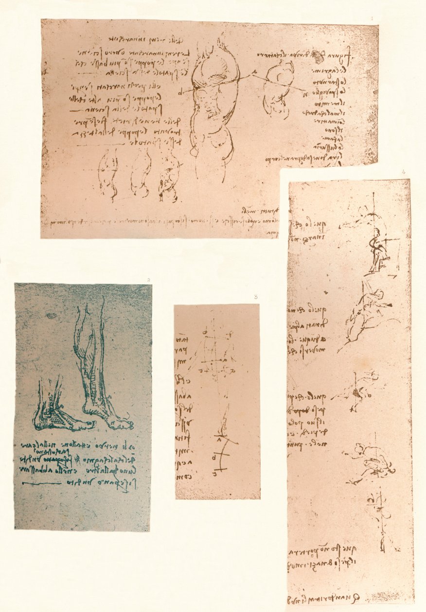 Négy rajz, amely az emberi alak mozgásának elméletét illusztrálja, c1472-c1519 1883 alkotó: Leonardo da Vinci