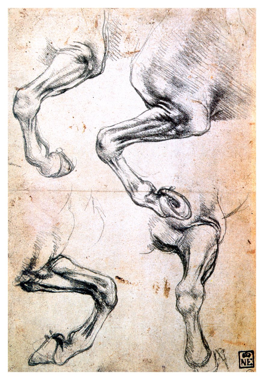 Négy tanulmány a lovak lábáról, c1500 alkotó: Leonardo da Vinci
