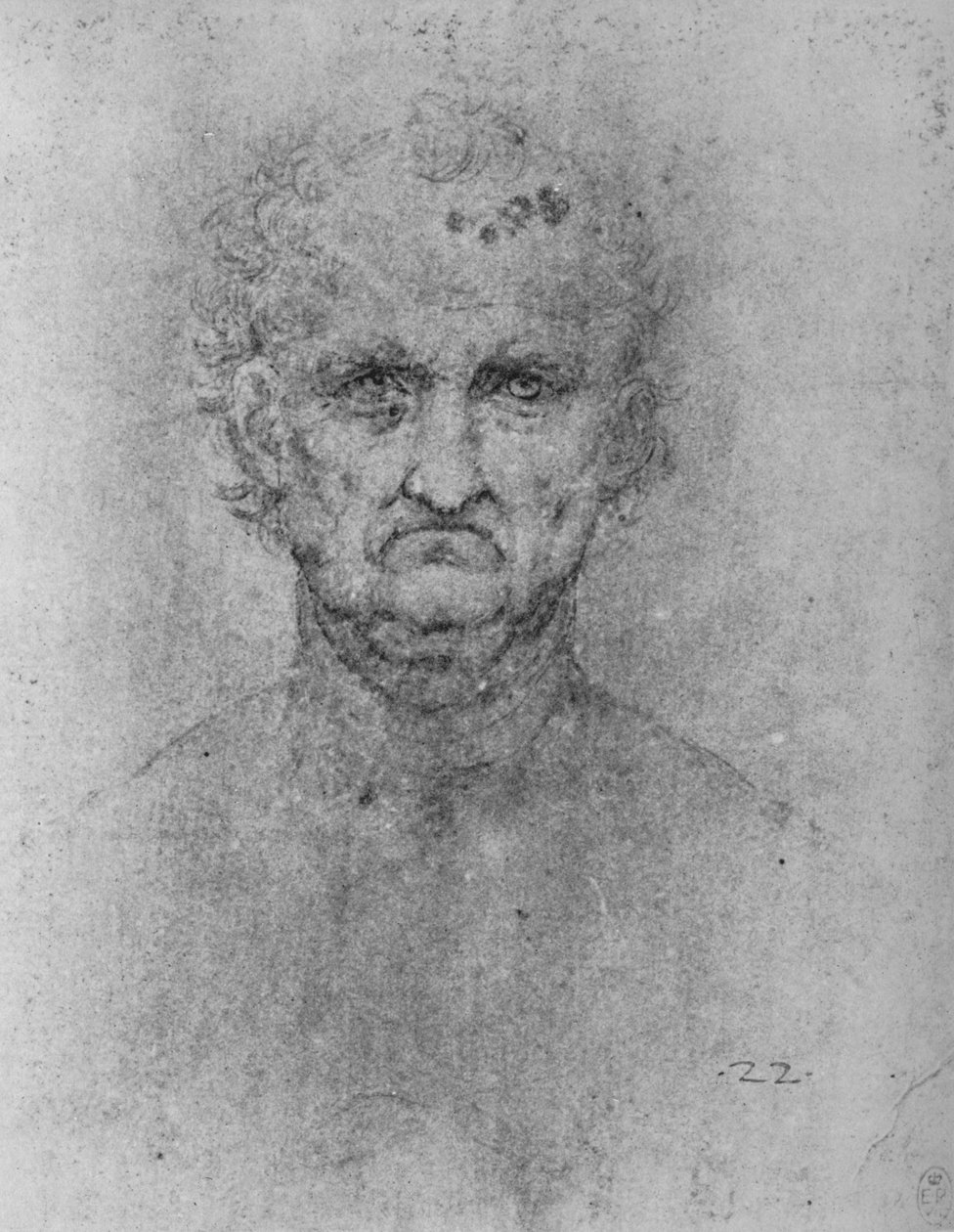 Egy öregember teljes arca, c1480 1945 alkotó: Leonardo da Vinci