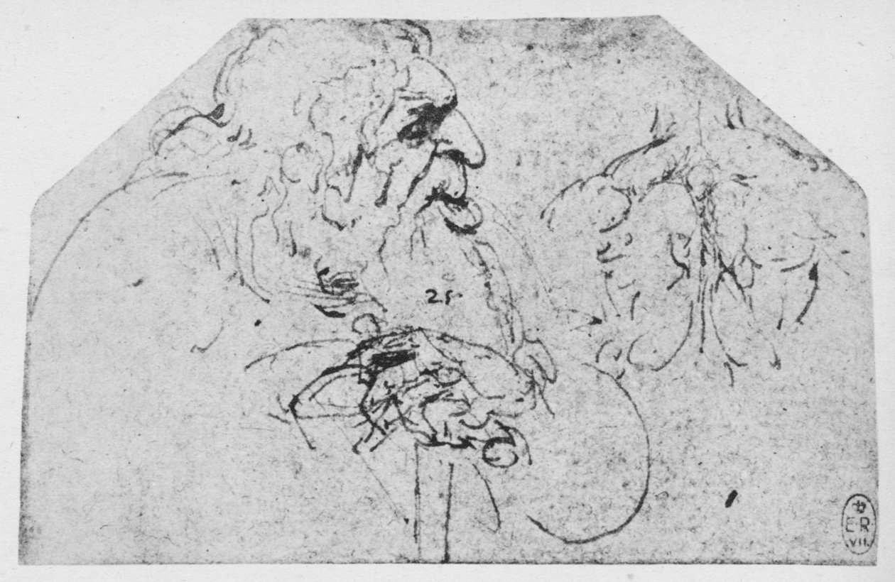 Félhosszú, botra támaszkodó öregember c1480 1945 alkotó: Leonardo da Vinci