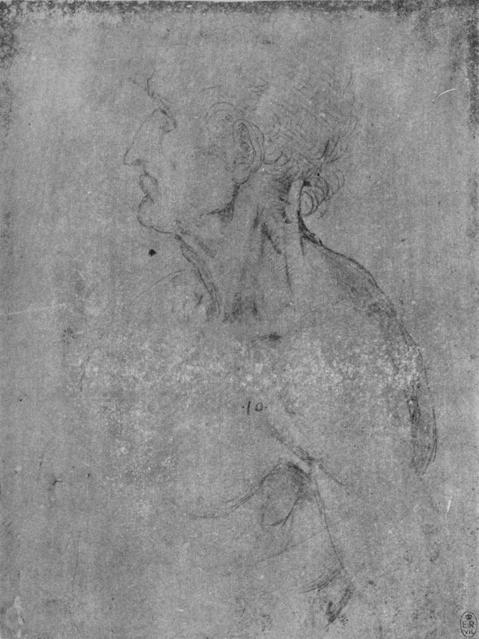 Egy öregember feje és mellképe balra, c1480 1945 alkotó: Leonardo da Vinci