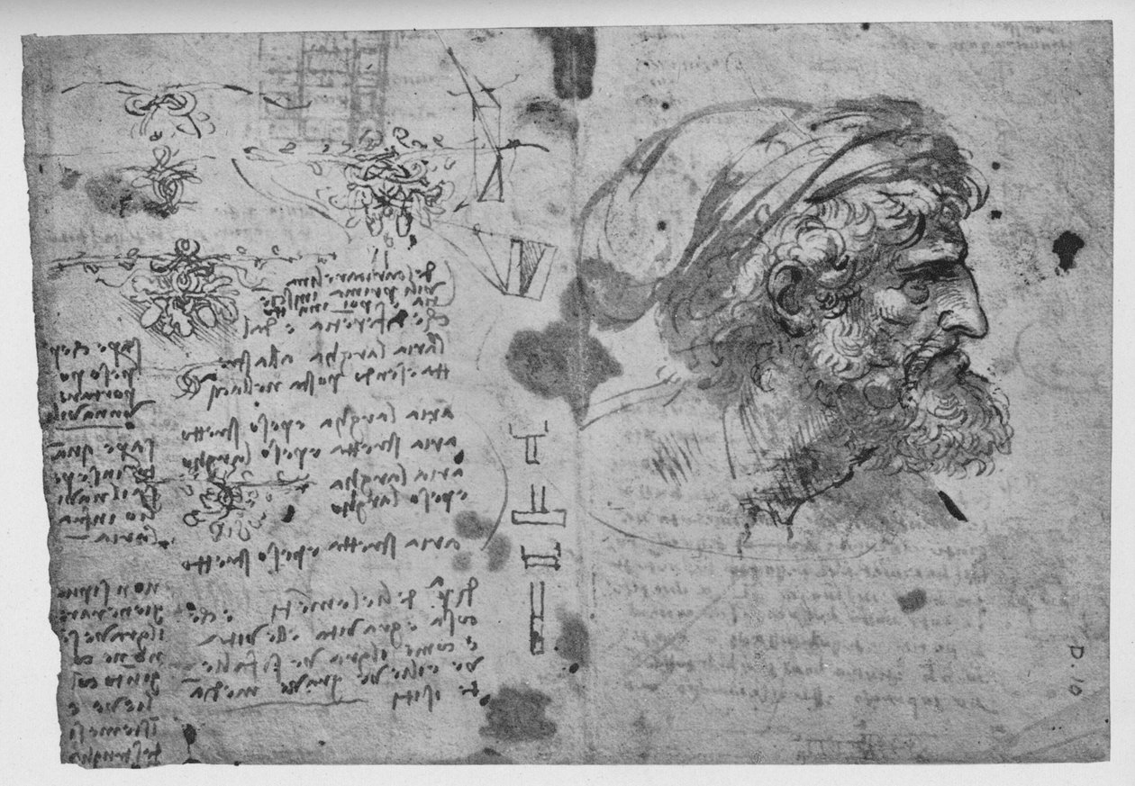 Egy szakállas férfi feje és vállai, c1480 1945 alkotó: Leonardo da Vinci