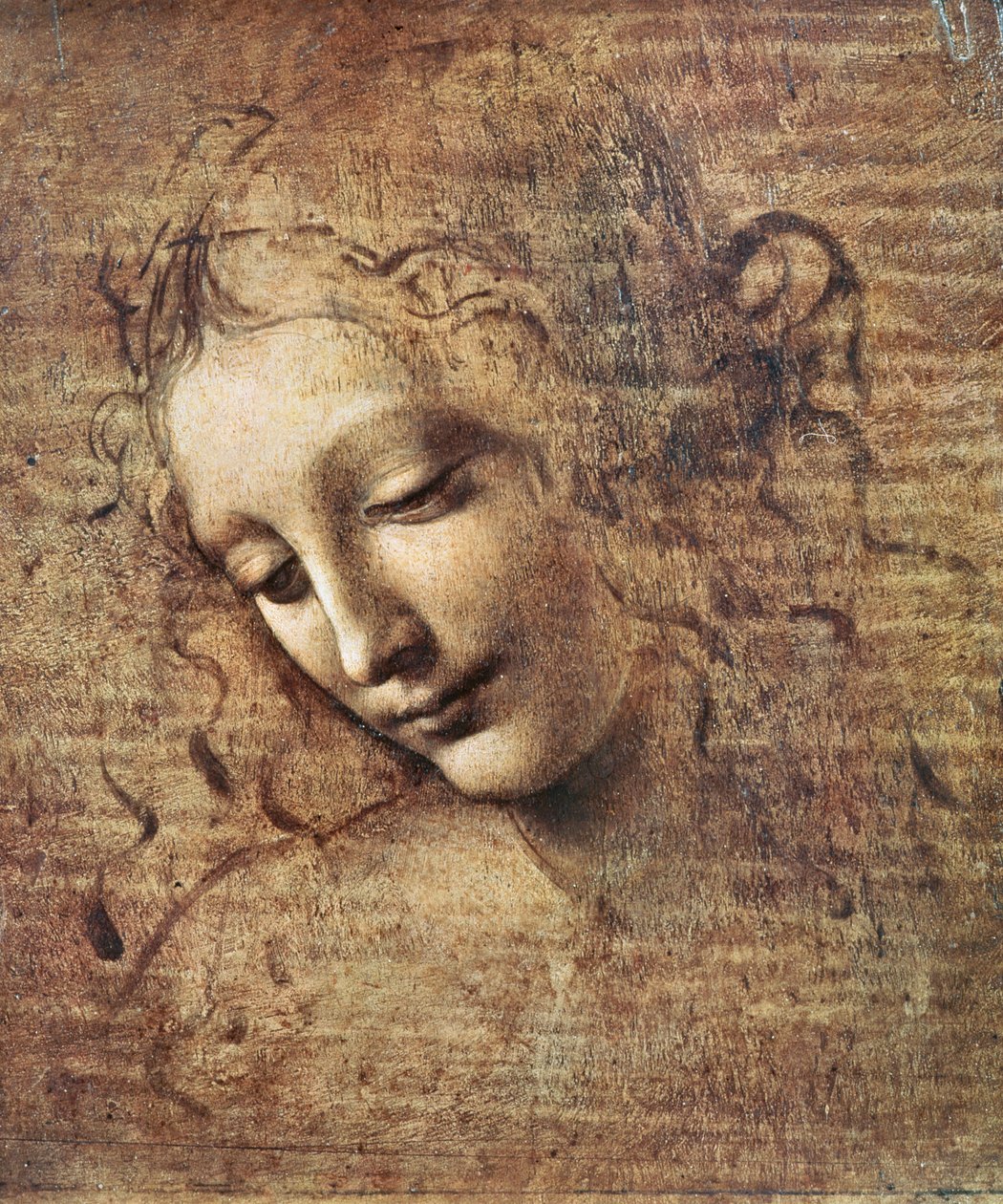 Egy kócos hajú fiatal nő feje vagy Leda (gouache, fa) alkotó: Leonardo da Vinci