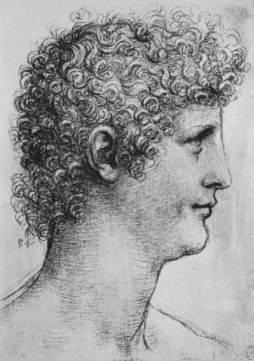 A Fiatalok jobboldali vezetője, c1480 1945 alkotó: Leonardo da Vinci