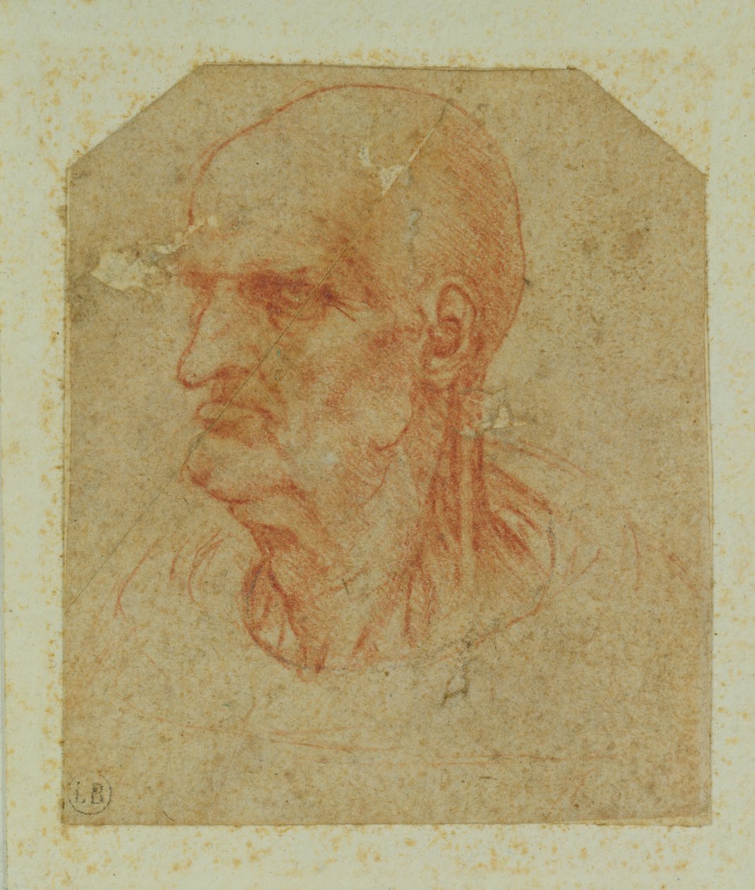 Szakálltalan öregember feje, bal oldali profil (piros kréta papíron) alkotó: Leonardo da Vinci