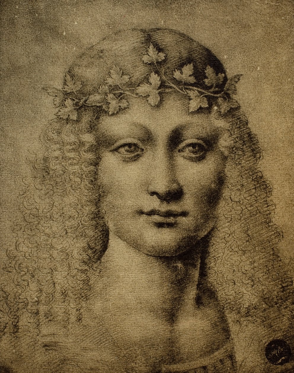 Egy lány vagy egy fiatal Bacchus feje; Leonardo da Vinci rajza. Gallerie dell