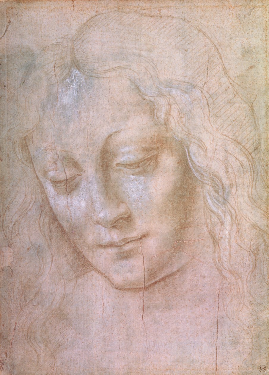 Egy nő feje (gouache-val megerősített fémhegy) alkotó: Leonardo da Vinci
