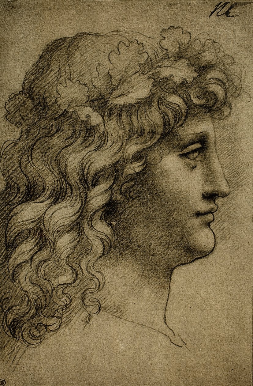 Egy fiatal férfi feje; Leonardo da Vinci rajza. Louvre, Párizs alkotó: Leonardo da Vinci