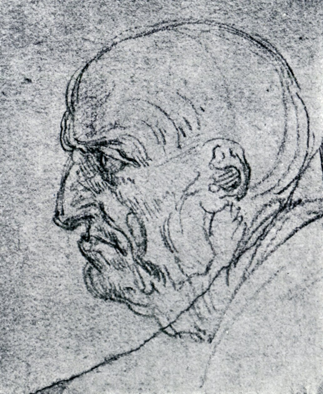 Egy öregember feje, 1913 alkotó: Leonardo da Vinci