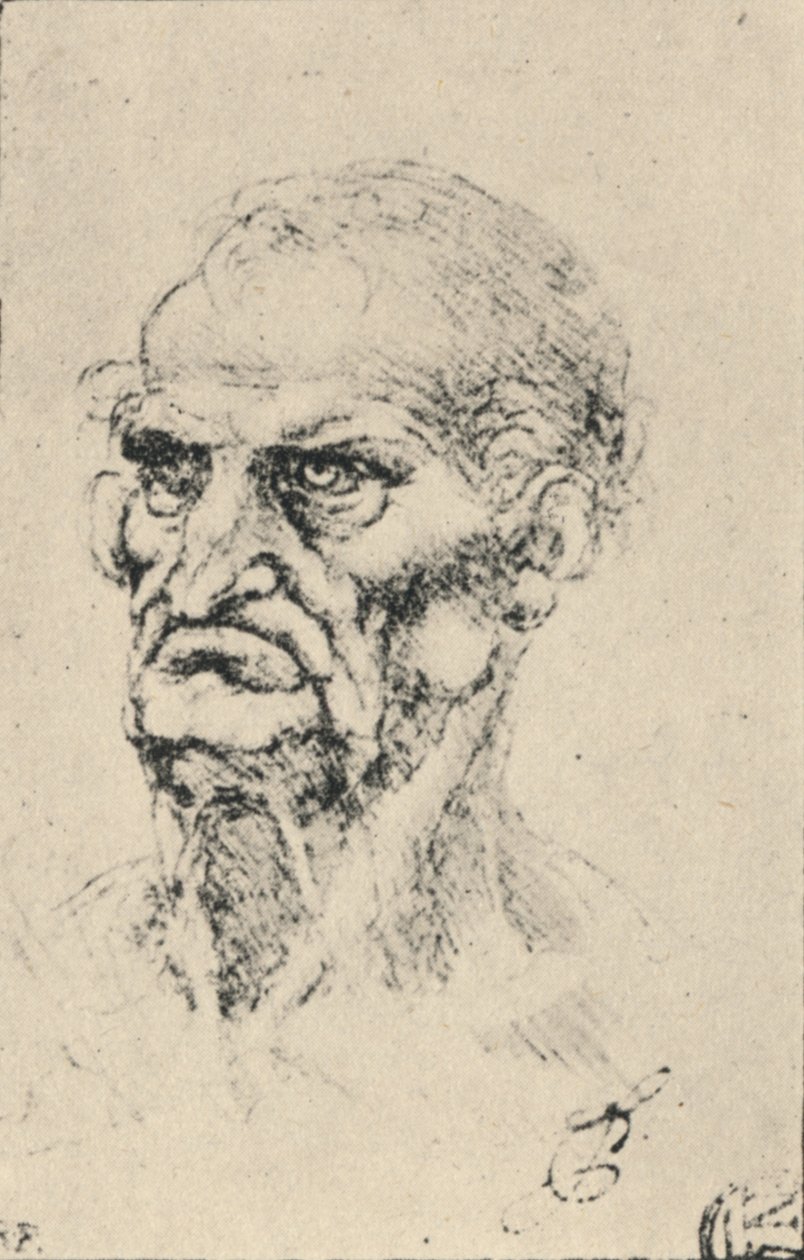 Egy öregember feje háromnegyed balra, c1480 1945 alkotó: Leonardo da Vinci