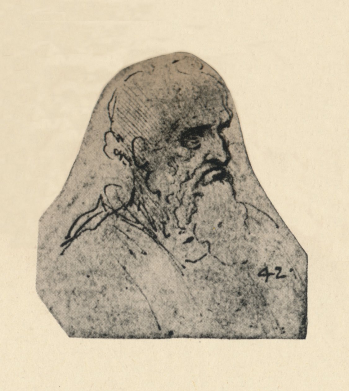 Egy jobbra fordult öregember feje, c1480 1945 alkotó: Leonardo da Vinci