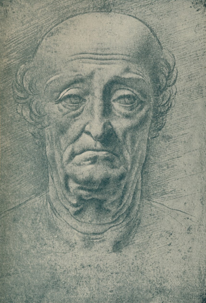 Egy öreg feje, XV. század, 1932 alkotó: Leonardo da Vinci
