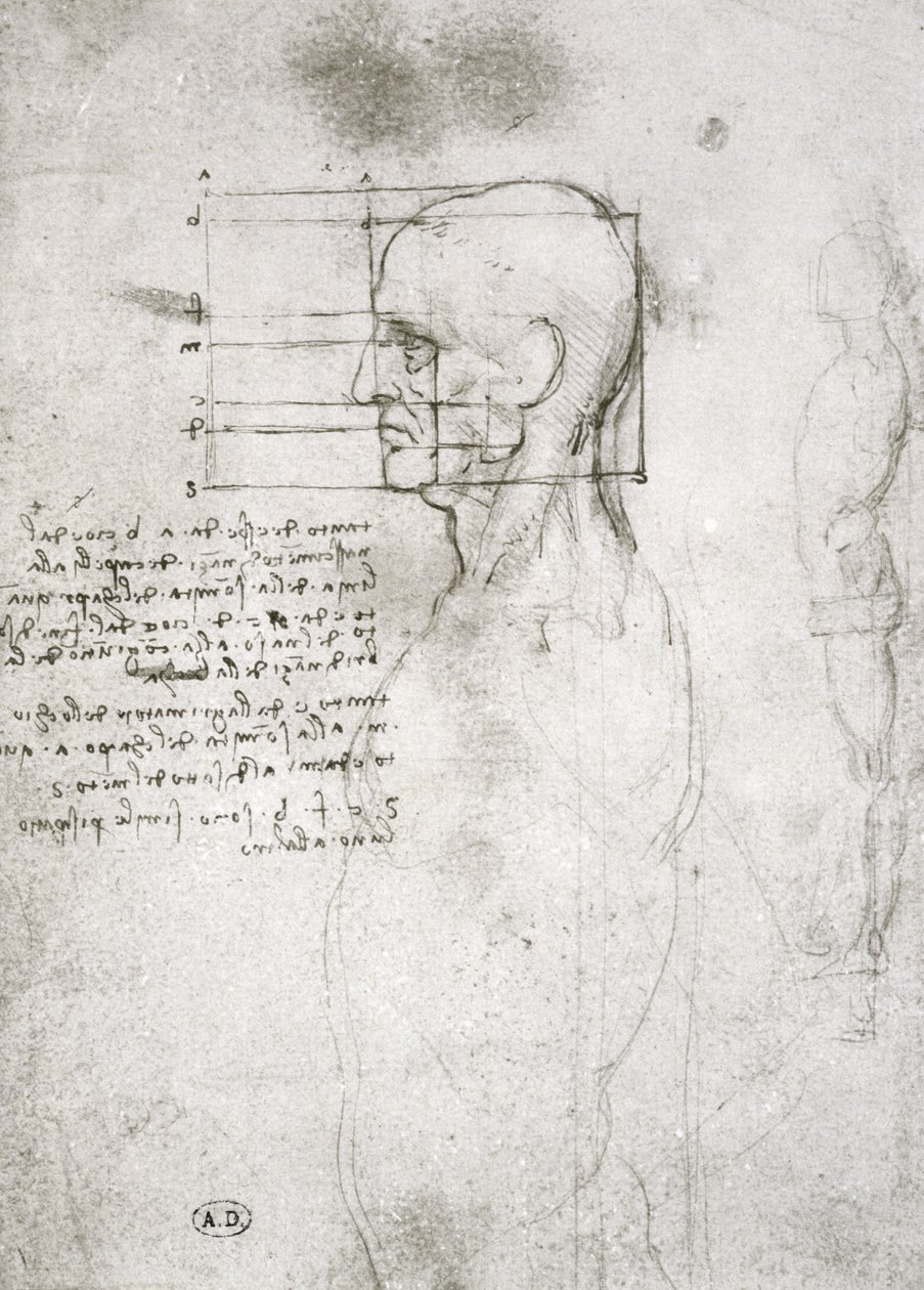 Profilos öregember feje, faxmásolat (toll és tinta papíron) alkotó: Leonardo da Vinci