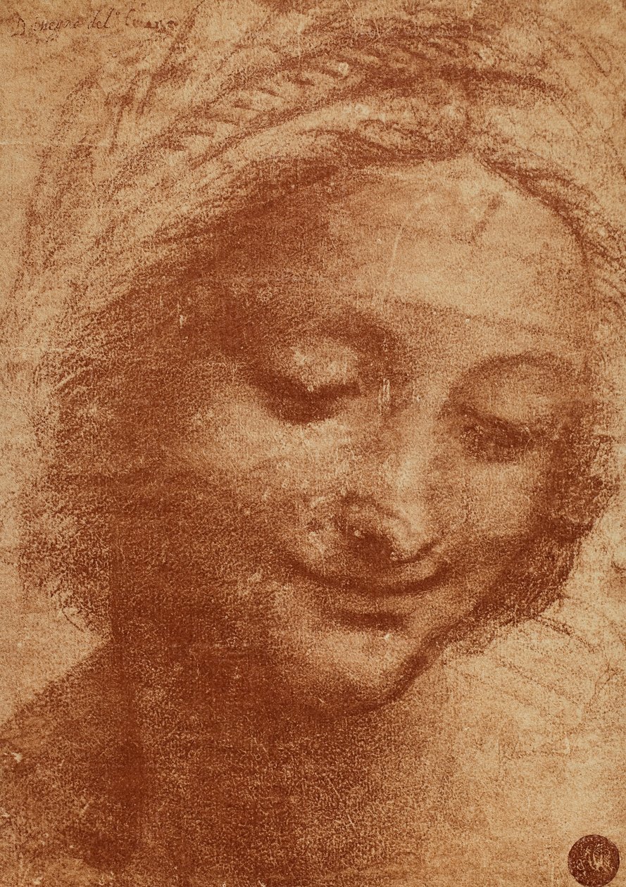 A nő vagy a SantAnna feje, Leonardo da Vinci rajza, tanulmány a Madonna gyermekkel és Sant Anna című festmény fejéhez, amely jelenleg a Louvre-ban van. A design a Gallerie dellA-ban található alkotó: Leonardo da Vinci