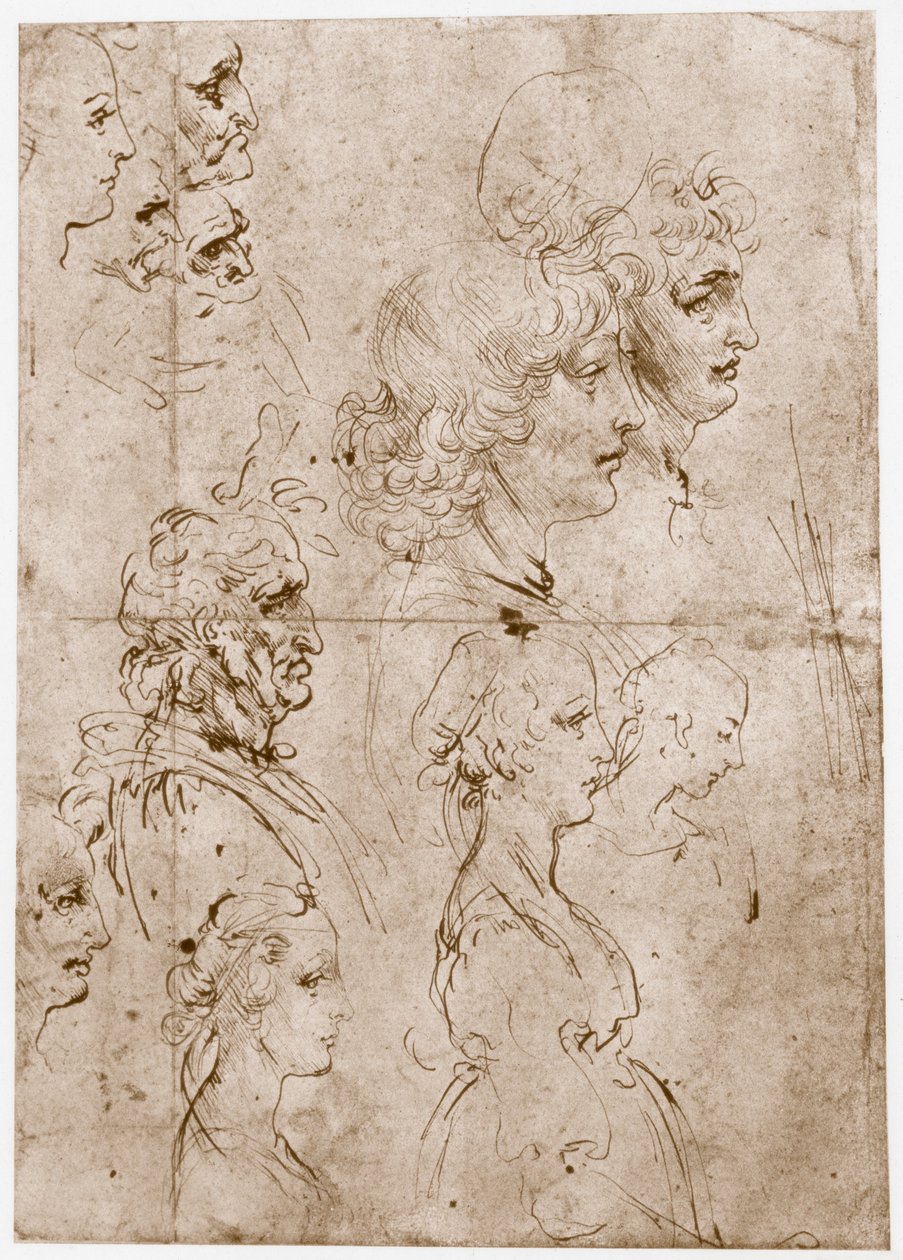 Leányfejek, fiatalok és öregek, 1478-1480 alkotó: Leonardo da Vinci