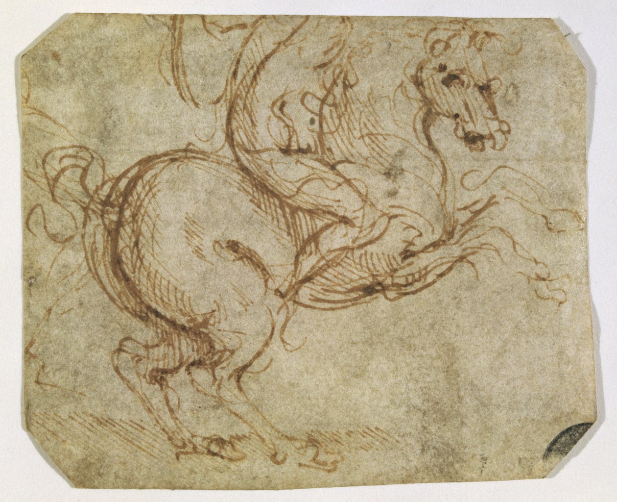 Ló és Cavalier (toll és tinta papíron) alkotó: Leonardo da Vinci