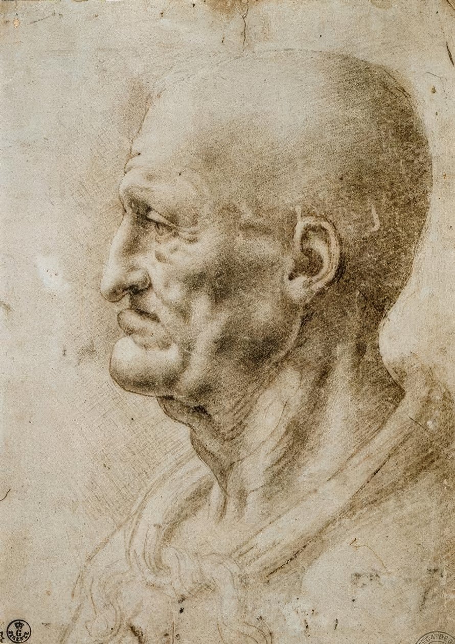 Egy idős férfi fejtanulmánya alkotó: Leonardo da Vinci