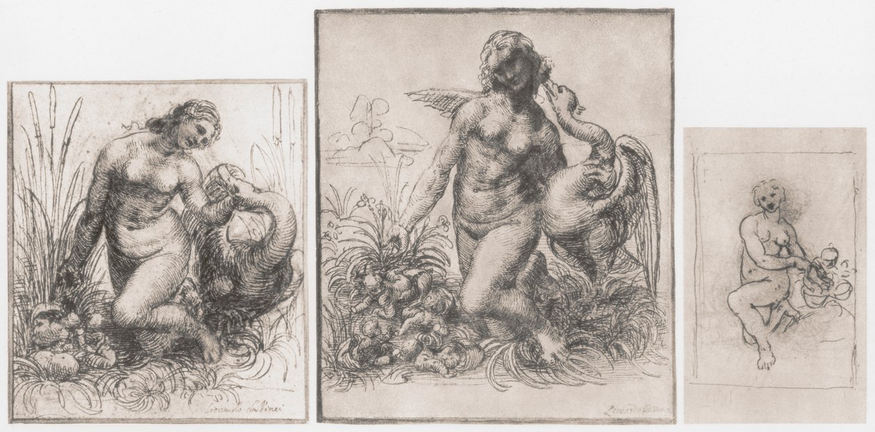 Léda és a hattyú, c1504-1506 alkotó: Leonardo da Vinci
