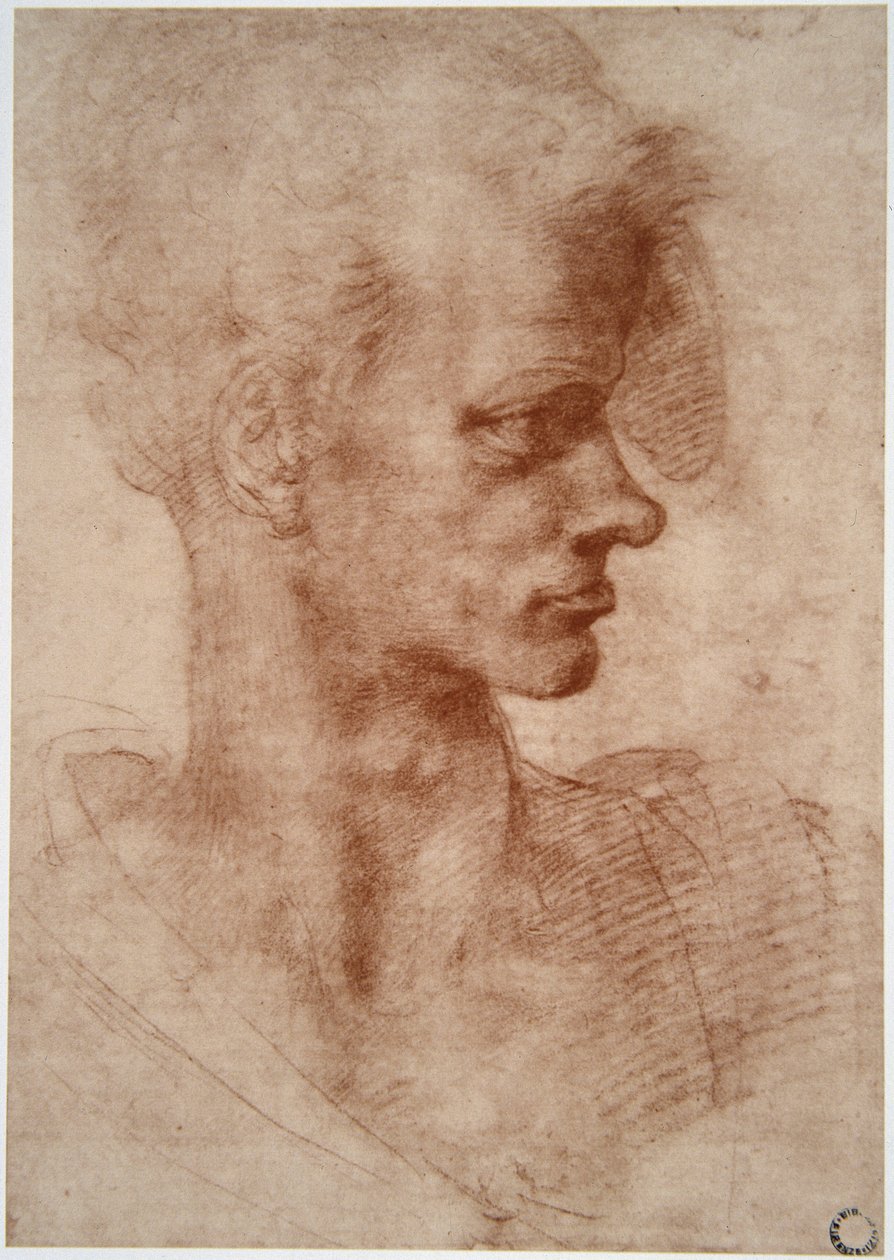 Leonardo da Vinci (Leonardo da Vinci) (1452 - 1519): Egy fiatal férfi karikatúra portréja (Imagine) alkotó: Leonardo da Vinci