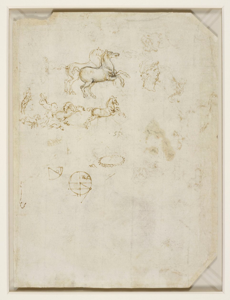 Leonardo da Vinci - Verso Ugrándozó lovak és Néró feje 1503-4 körül alkotó: Leonardo da Vinci