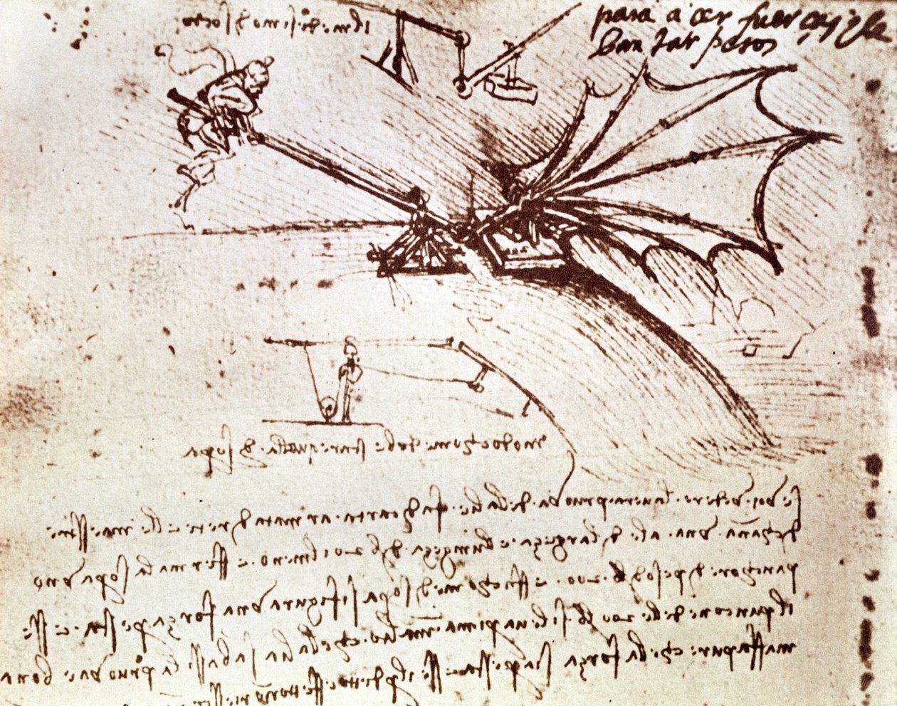 MS B fol.88v Szárny terheléstűrésének tesztelése alkotó: Leonardo da Vinci