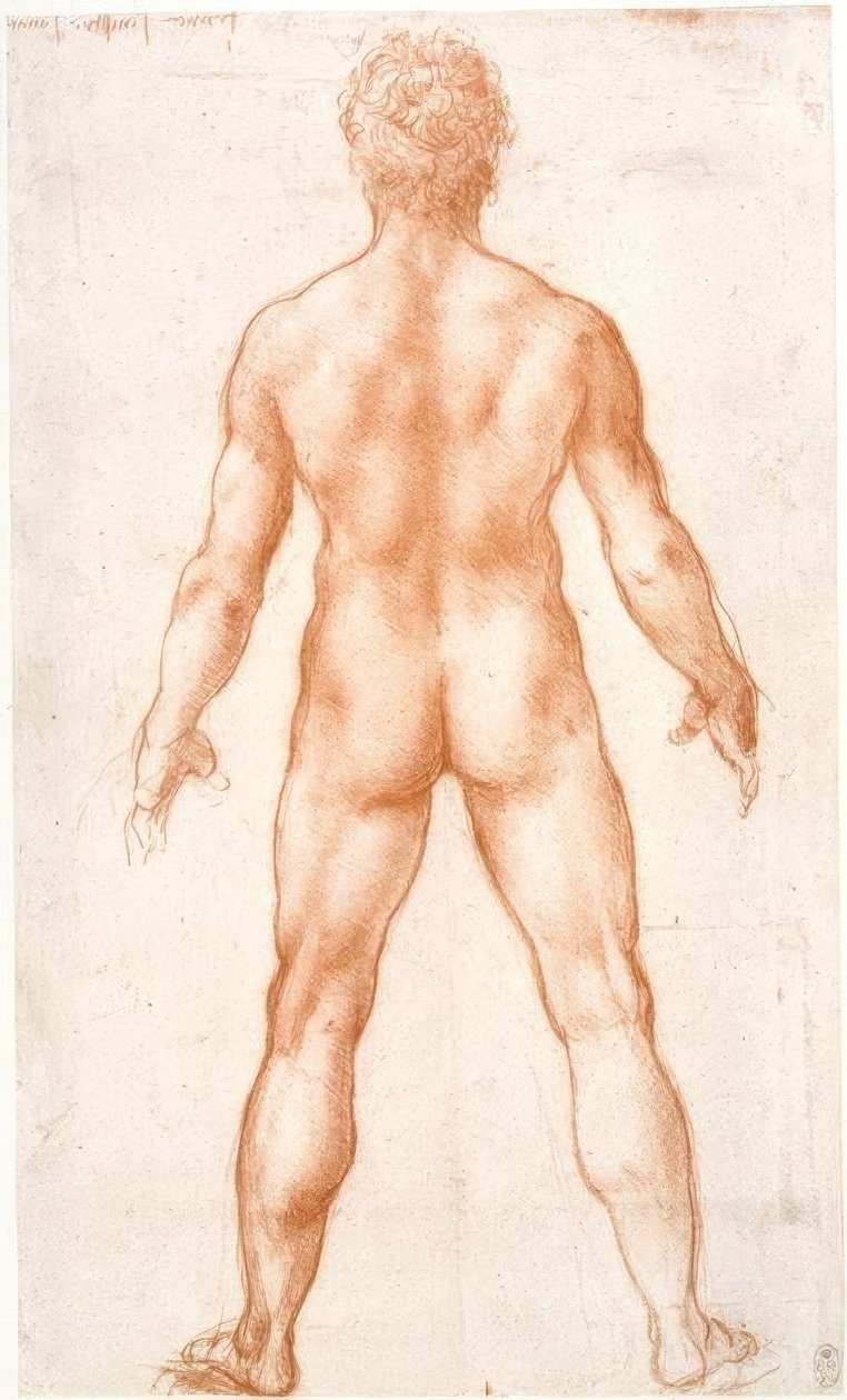 Férfi akt hátulról alkotó: Leonardo da Vinci