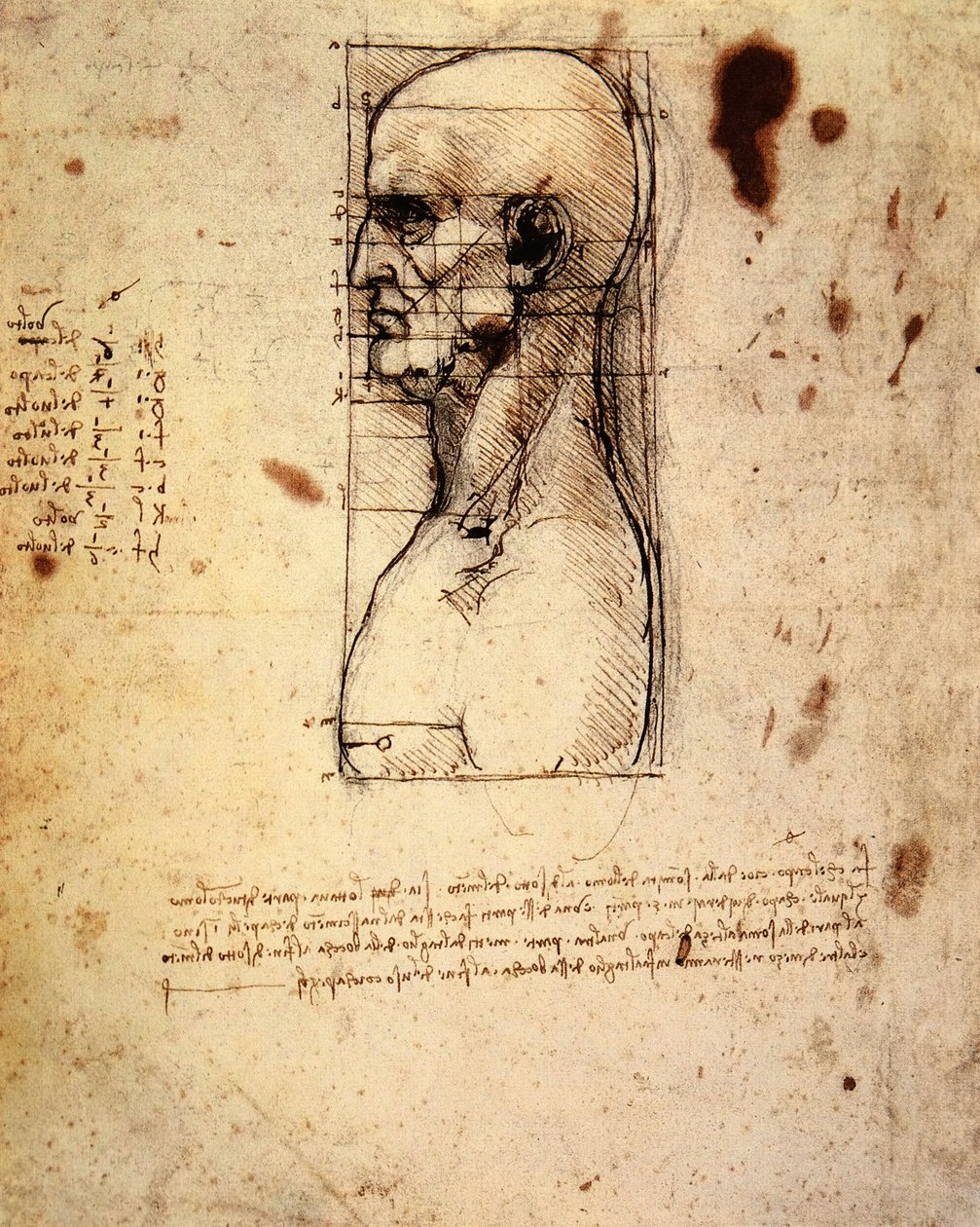 Férfi fej profilban, arányokkal alkotó: Leonardo da Vinci