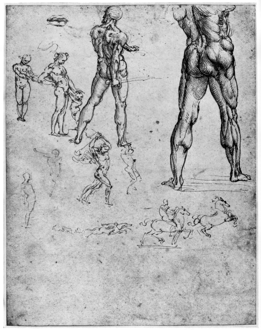 Akttanulmányok az Anghiari csatához, c1503-1505 1954 alkotó: Leonardo da Vinci