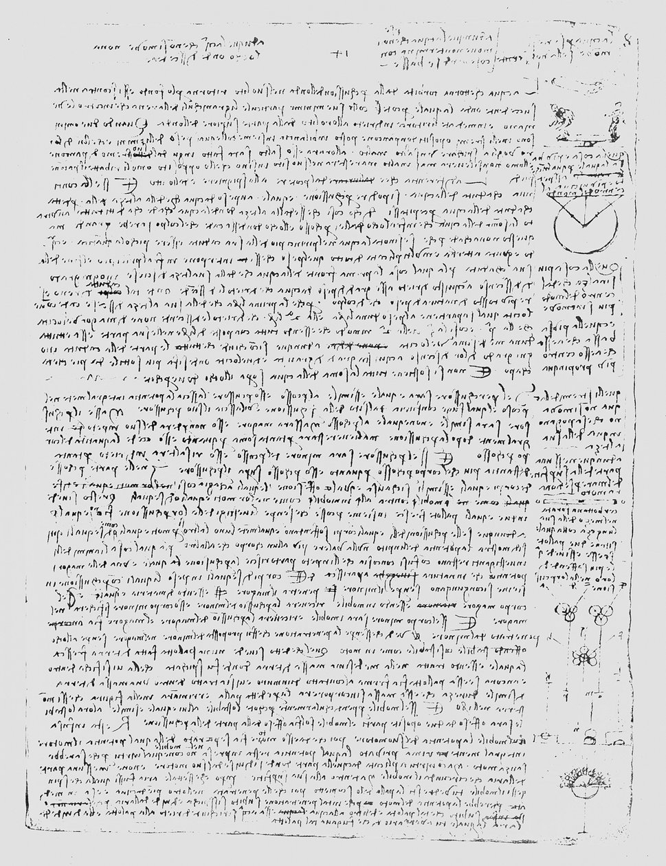 Oldal a Codex Leicesterből, 1508-12 alkotó: Leonardo da Vinci