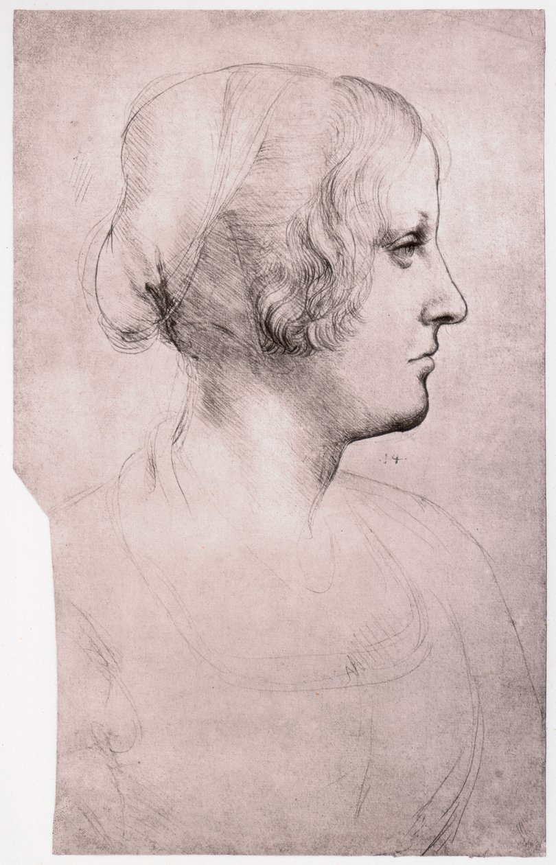 Sapkás lány portréja, 1493-1495 alkotó: Leonardo da Vinci