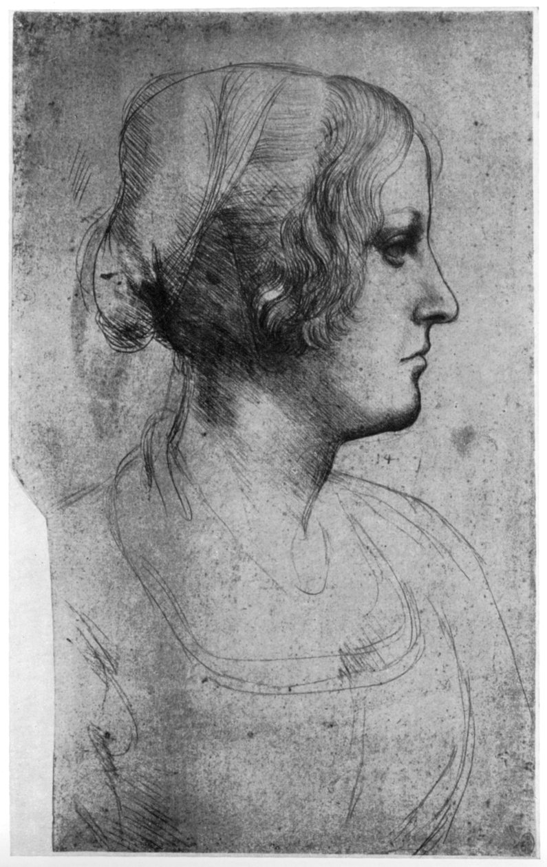 Portrétanulmány egy fiatal lány fejéről, 1954. XV. század. alkotó: Leonardo da Vinci