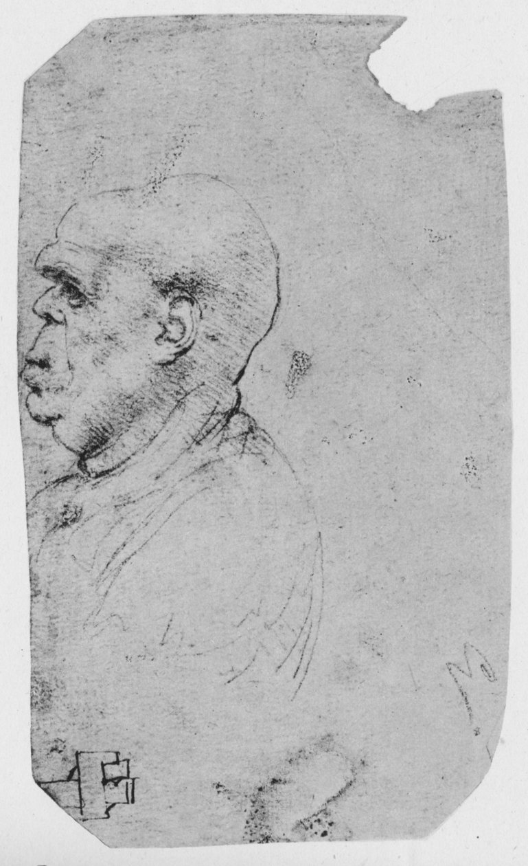 Egy kopasz férfi profilja balra, c1480 1945 alkotó: Leonardo da Vinci