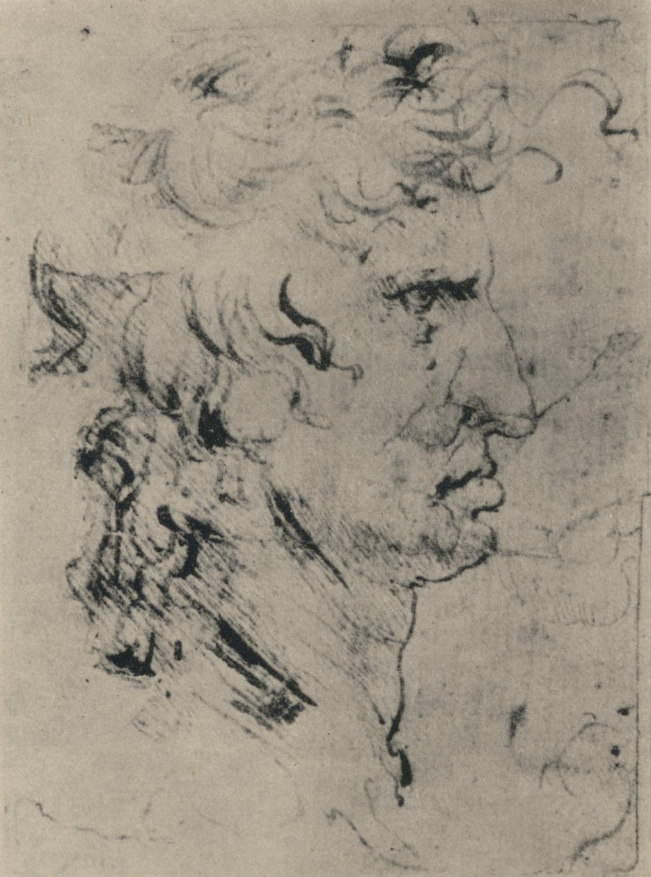 Egy férfi profilja jobbra, c1480 1945 alkotó: Leonardo da Vinci