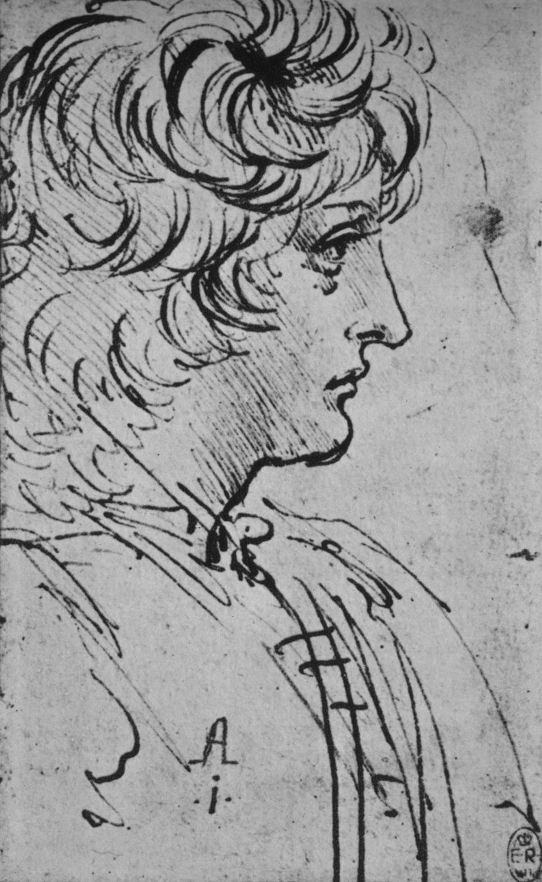 Egy jobboldali fiatal profilja, c1480 1945 alkotó: Leonardo da Vinci