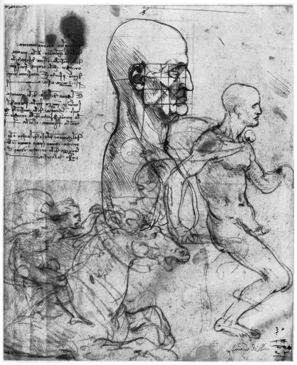 Egy férfi fej profilja és két lovas tanulmányai, c1490 és c1504 1954. alkotó: Leonardo da Vinci