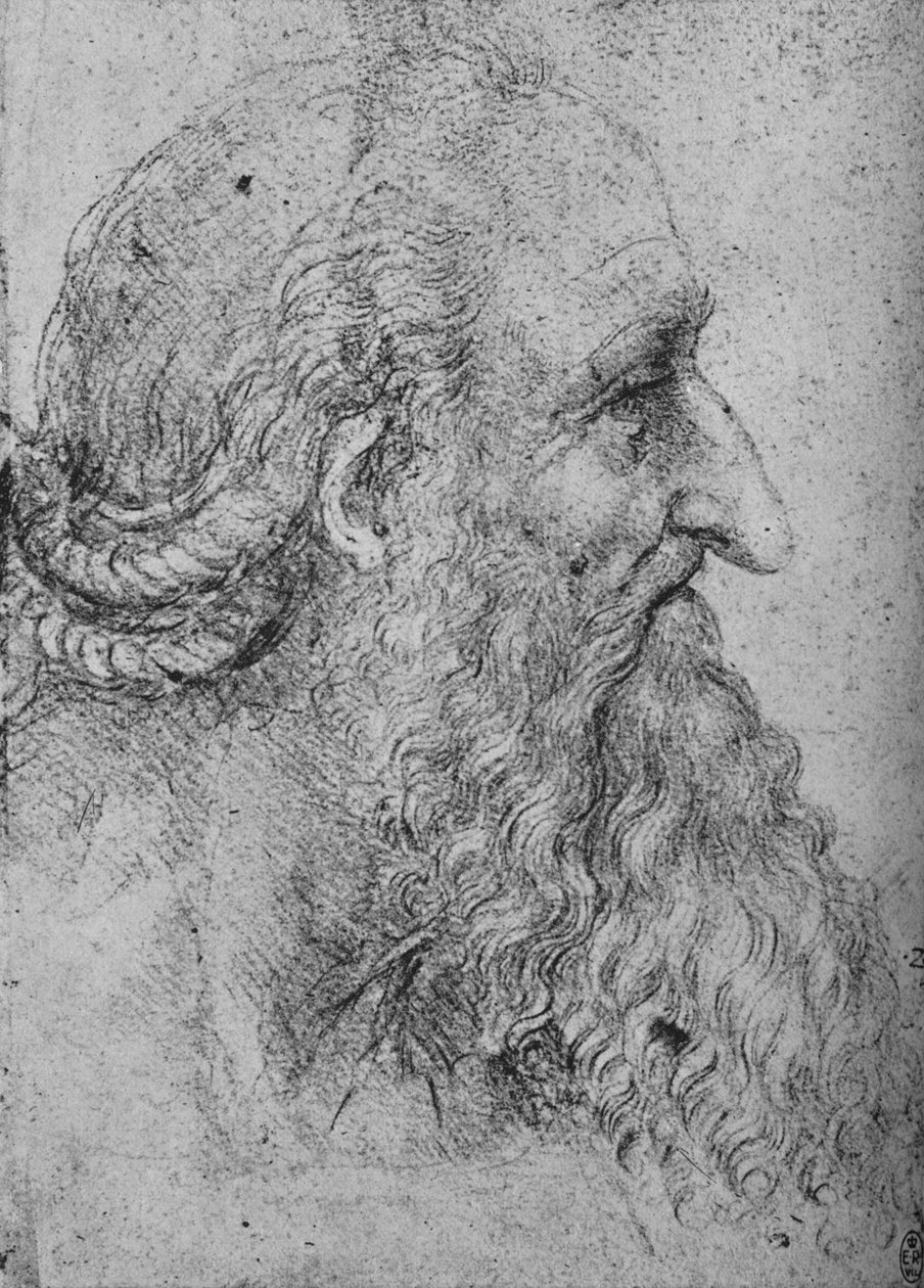 Egy öreg, szakállas férfi profilja jobbra, c1480 1945 alkotó: Leonardo da Vinci