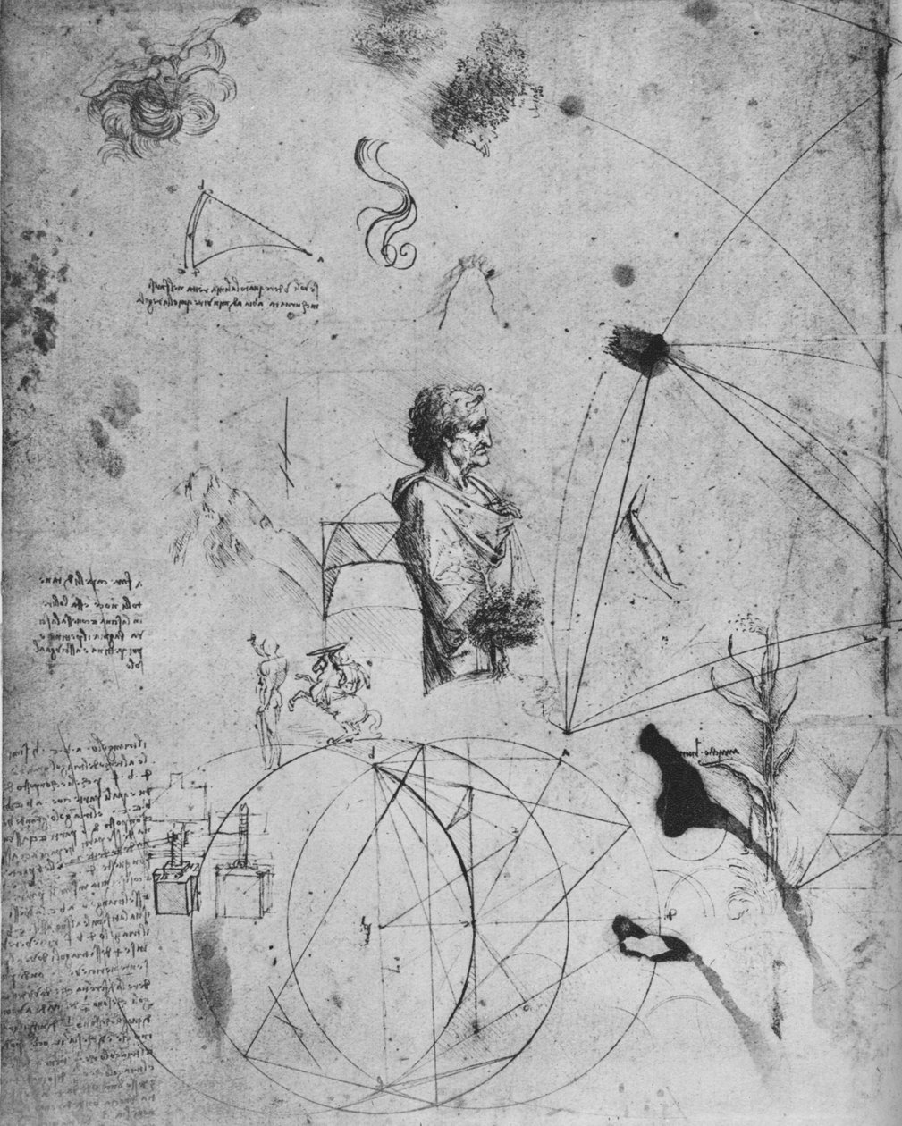 Egy öreg ember profilja, növények, geometriai ábrák stb., c1480 1945 alkotó: Leonardo da Vinci