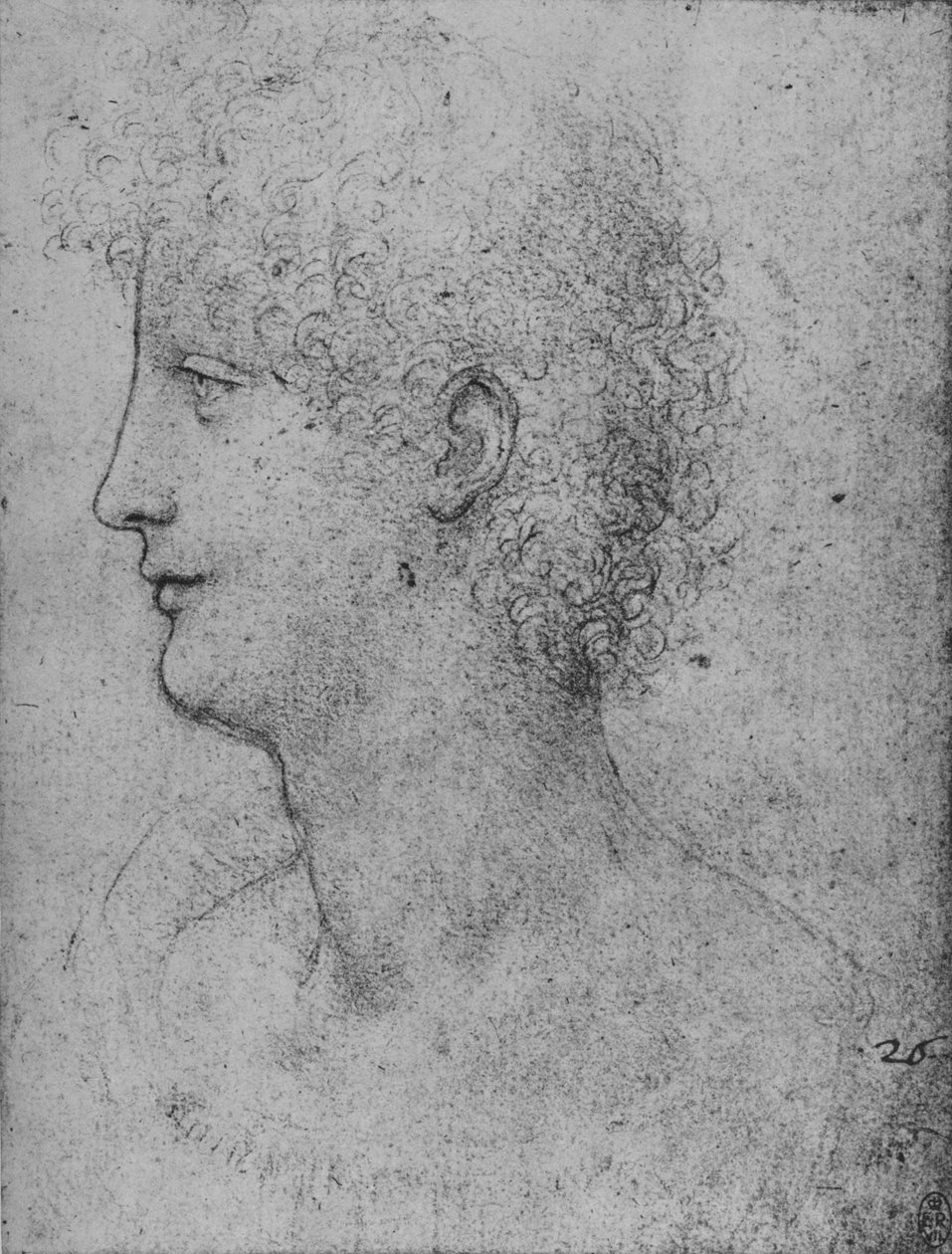 Egy göndörfejű fiatal profilja balra, c1480 1945 alkotó: Leonardo da Vinci