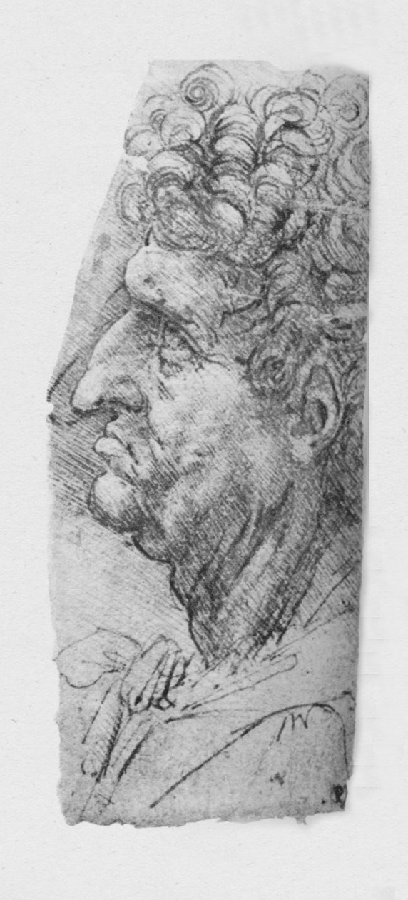Egy göndör hajú idős férfi profilja balra, c1480 1945 alkotó: Leonardo da Vinci