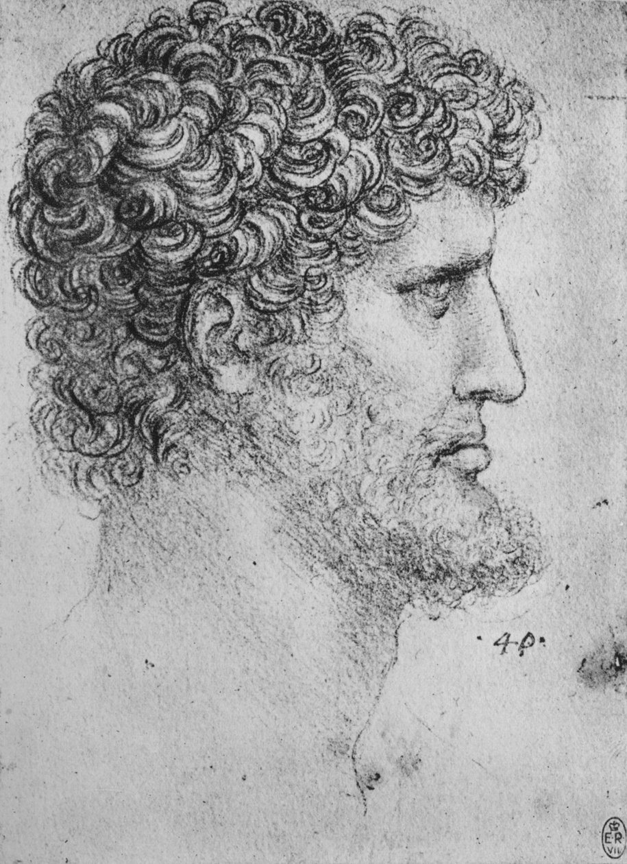 Profil egy szakállas férfitól jobbra, c1480 1945 alkotó: Leonardo da Vinci