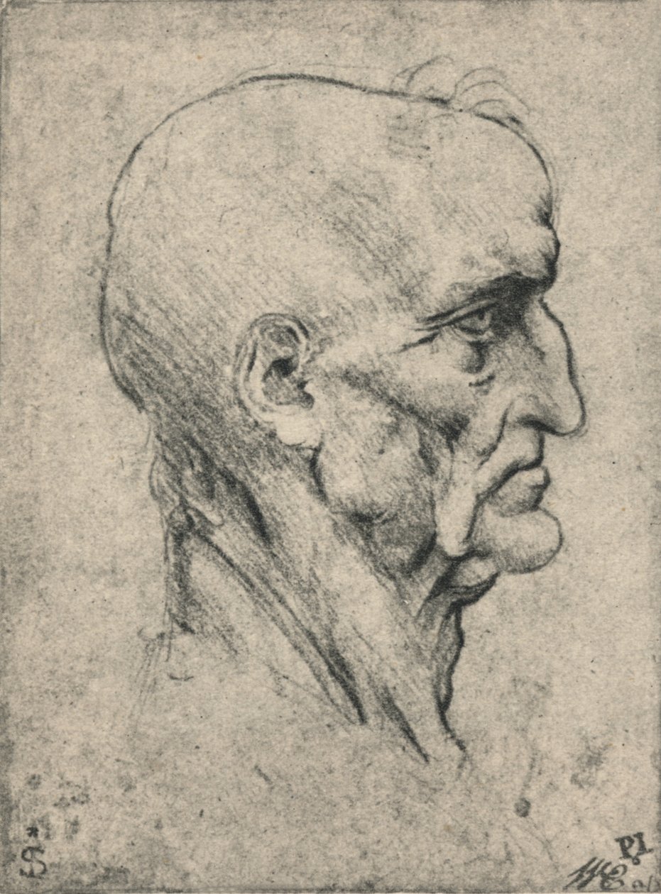 Profil egy idős kopasz ember jobb oldalán, c1480 1945 alkotó: Leonardo da Vinci