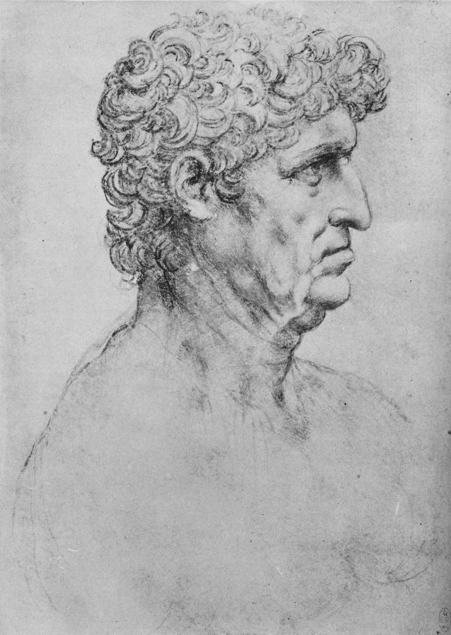 Profil egy idős ember jobb oldalán, c1480 1945 alkotó: Leonardo da Vinci