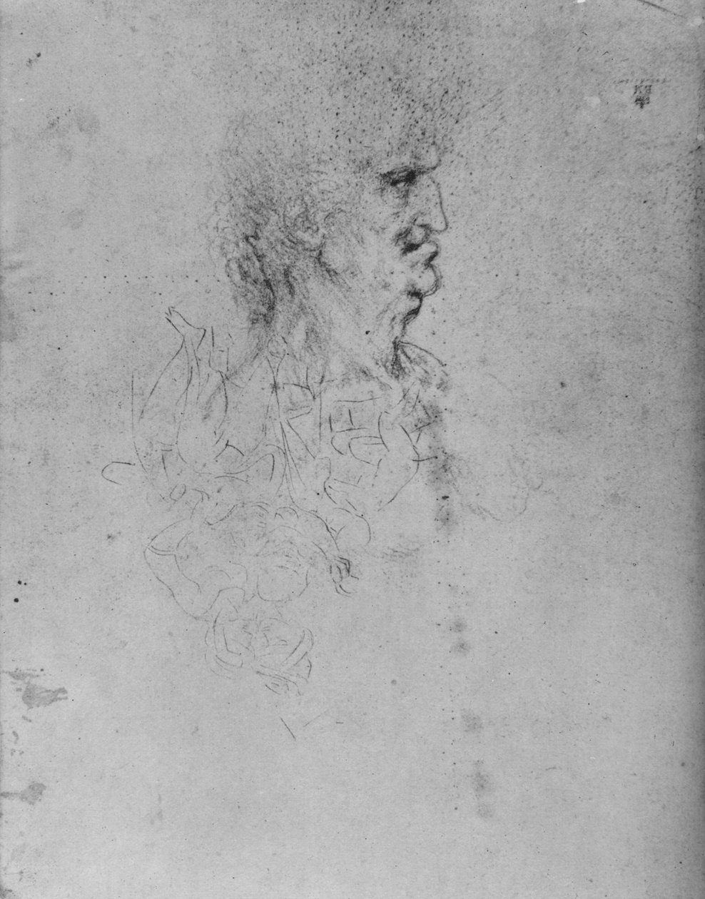 Profil egy öreg embertől jobbra, c1480 1945 alkotó: Leonardo da Vinci