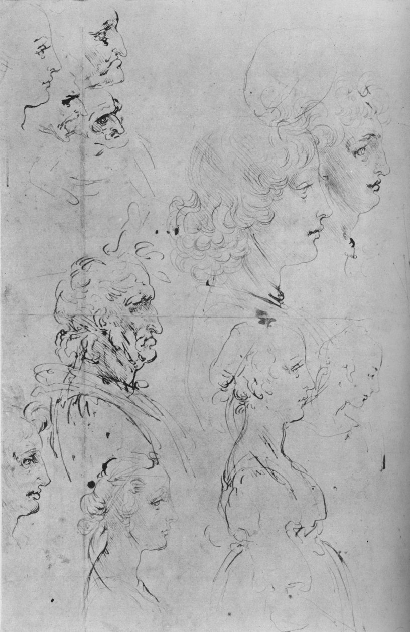 Férfiprofilok és félhosszú lányok, c1490 1945 alkotó: Leonardo da Vinci