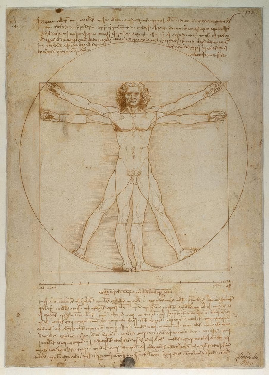 Az emberi alak aránysémája Vitruvius szerint alkotó: Leonardo da Vinci
